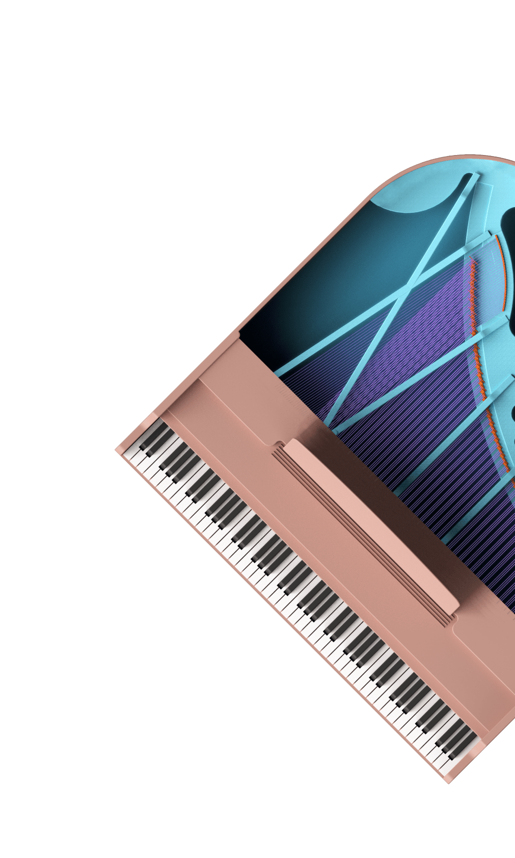 Roli Lumi Keys  MUSIC STORE professional